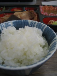 茨城稲敷こしひかり 2007/08/31 14:20:12