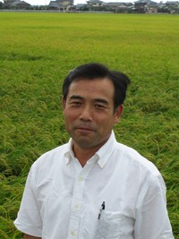 新潟中条町こしひかり入荷