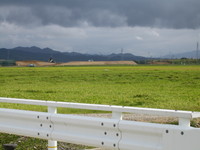 サギ 2007/09/13 14:31:58