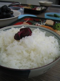 魚沼こしひかり試食 2007/10/09 13:20:34