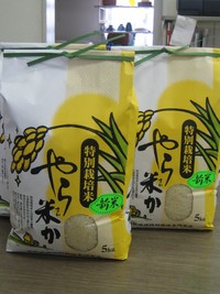 やら米か入荷しました～