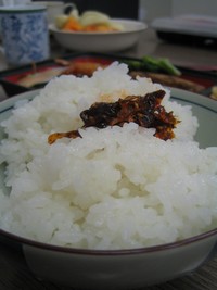 特別栽培米の魚沼こし！