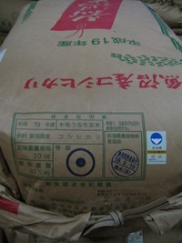 南魚沼こしひかり入荷しました～