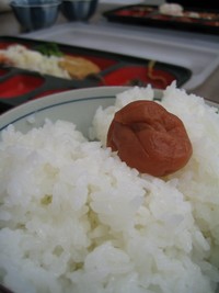 やばいぞ！花キラリ