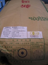ＪＡＳ有機栽培新潟こしひかり入荷しました～
