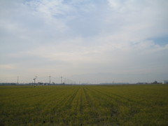 中道農園さんのたんぼ視察 in 滋賀県