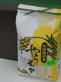 お米のお歳暮