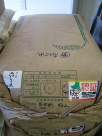 茨城県奥久慈恋しぐれ入荷しました～