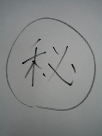 新商品の開発