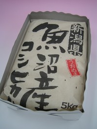 お米の帯祝い