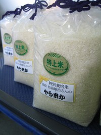 いってらっしゃい