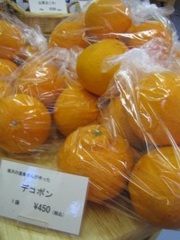 デコポン入荷しました