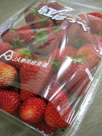 都田の小野さんの作ったいちご