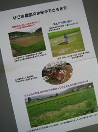 なごみ農園さん 2008/05/15 12:19:00