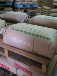なごみ農園さんご来店 2008/06/11 15:21:05