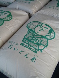 新米　鹿児島種子島こしひかり入荷！