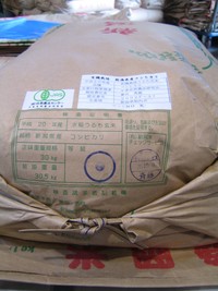 有機栽培米新潟こしひかり入荷しました 2008/10/14 17:24:00