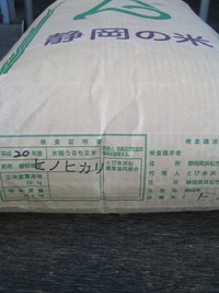 浜松ひのひかり入荷しました