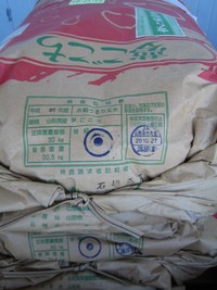 特別栽培米山形夢ごこち入荷しました 2008/10/28 16:27:01