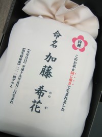 命名 2009/02/26 14:06:17