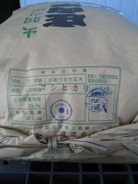 山形金太郎こしひかり入荷しました