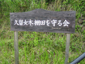 田植え体験in久留女木棚田