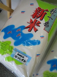 静岡なつしずか入荷しました