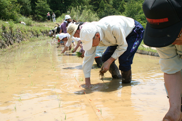 いよいよ田植え