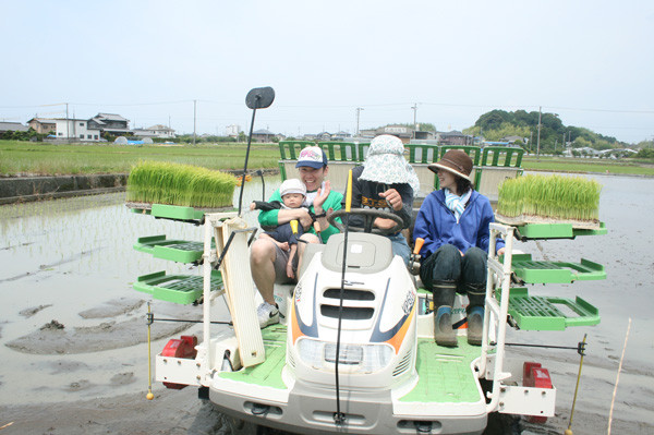 雄踏町で田植え体験