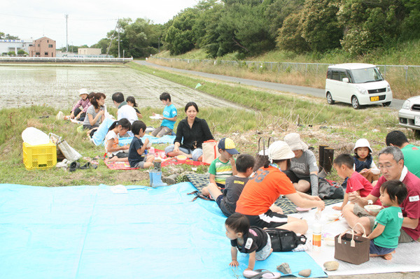 やら米か～田んぼは教室～田植え体験