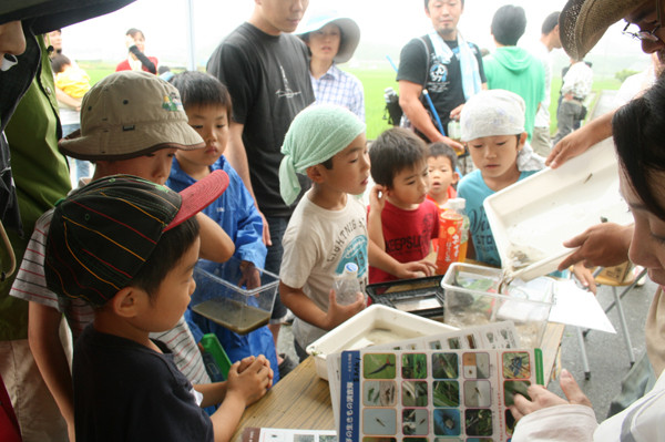 田んぼの生き物観察会 in 細江町中川