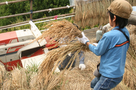 収穫祭 in 久留女木棚田