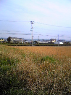 おだやかな朝