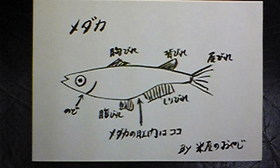 メダカ