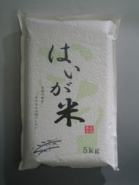 胚芽米（はいが米）