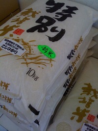 佐賀七夕こしひかり入荷しました