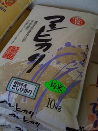 静岡こしひかり入荷しました