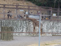 日本平動物園へおでかけ♪