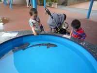 京急油壺マリンパーク水族館