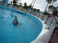 京急油壺マリンパーク水族館