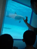 京急油壺マリンパーク水族館
