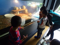 京急油壺マリンパーク水族館