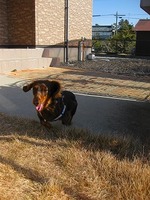 走る　食べる　寝る