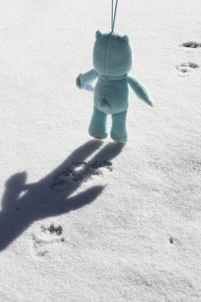 初雪山ハイク！