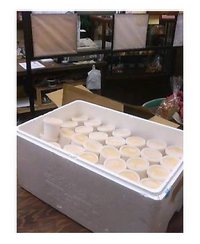 限定！ 2006/11/24 21:05:00