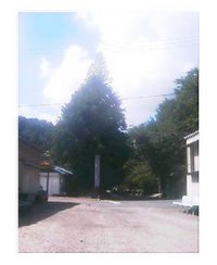 熱い！ 2007/08/14 14:03:08