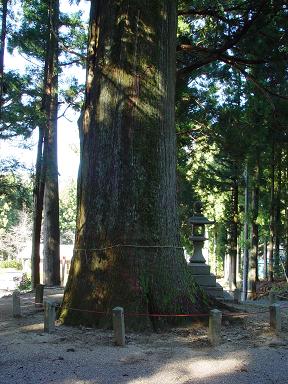 文化財指定第1号