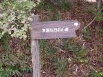 遊歩道