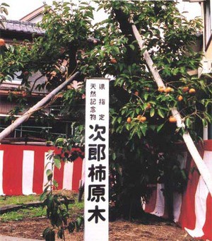 ビッグニュース（ｉｎ森町）♪