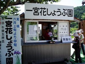 森町しょうぶ園